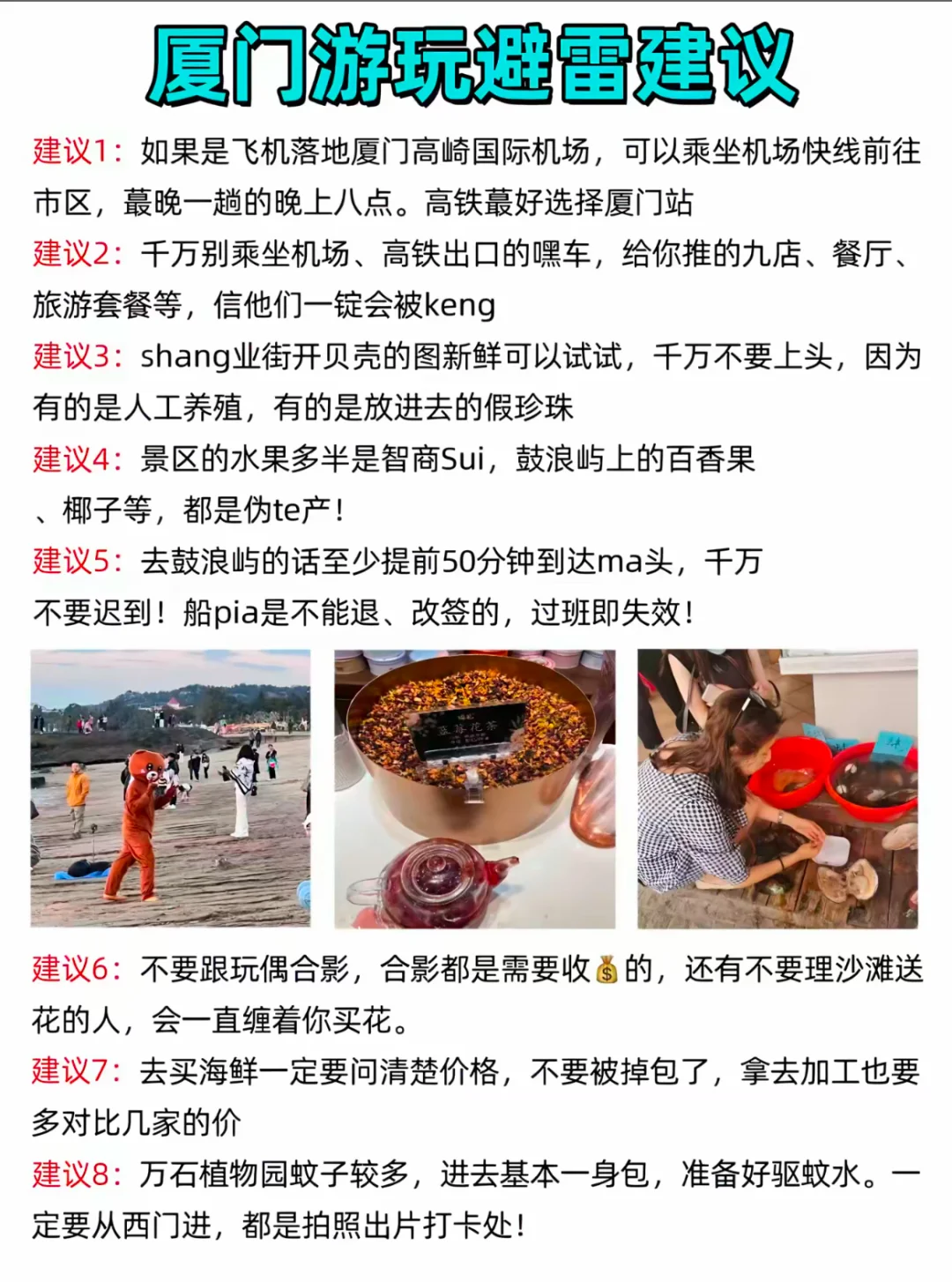 为什么说12月份最适合去厦门❓