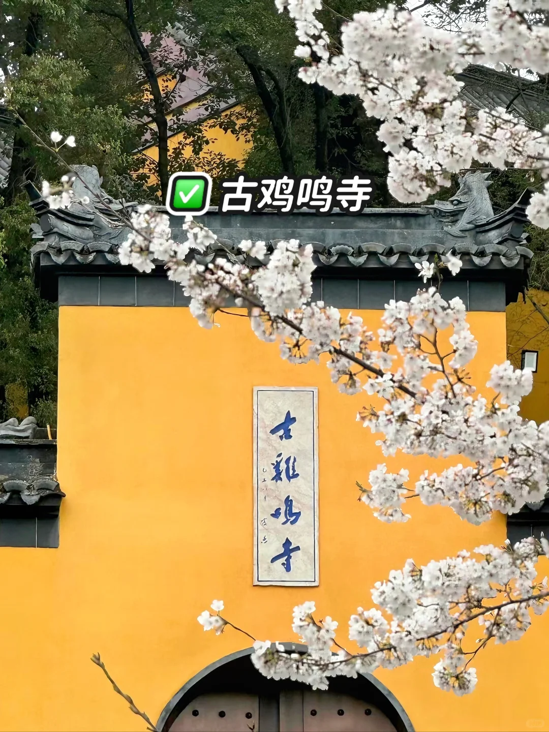 南京｜特种兵之2天一晚逛遍南京🔥