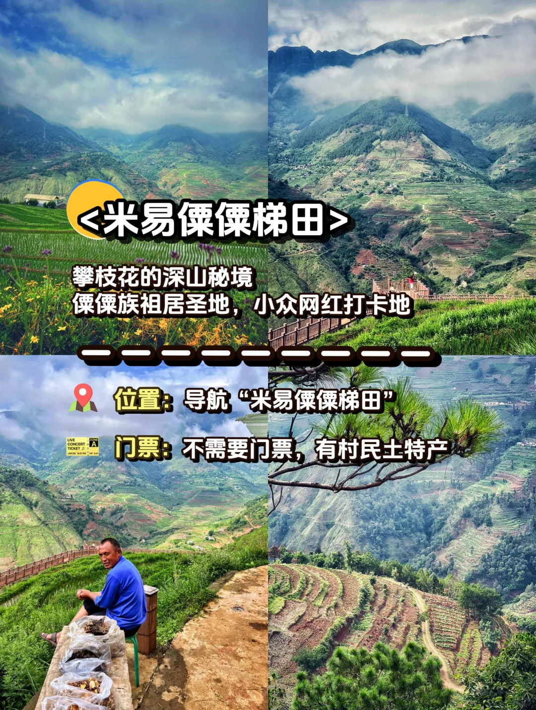 🚄攀枝花旅游 | 这6️⃣个热门景点一定要去‼️
