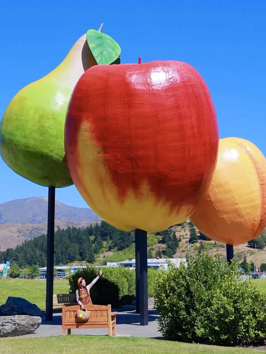 新西兰🌳🌈🦌去没有天花板的地方尽情吸氧🫠