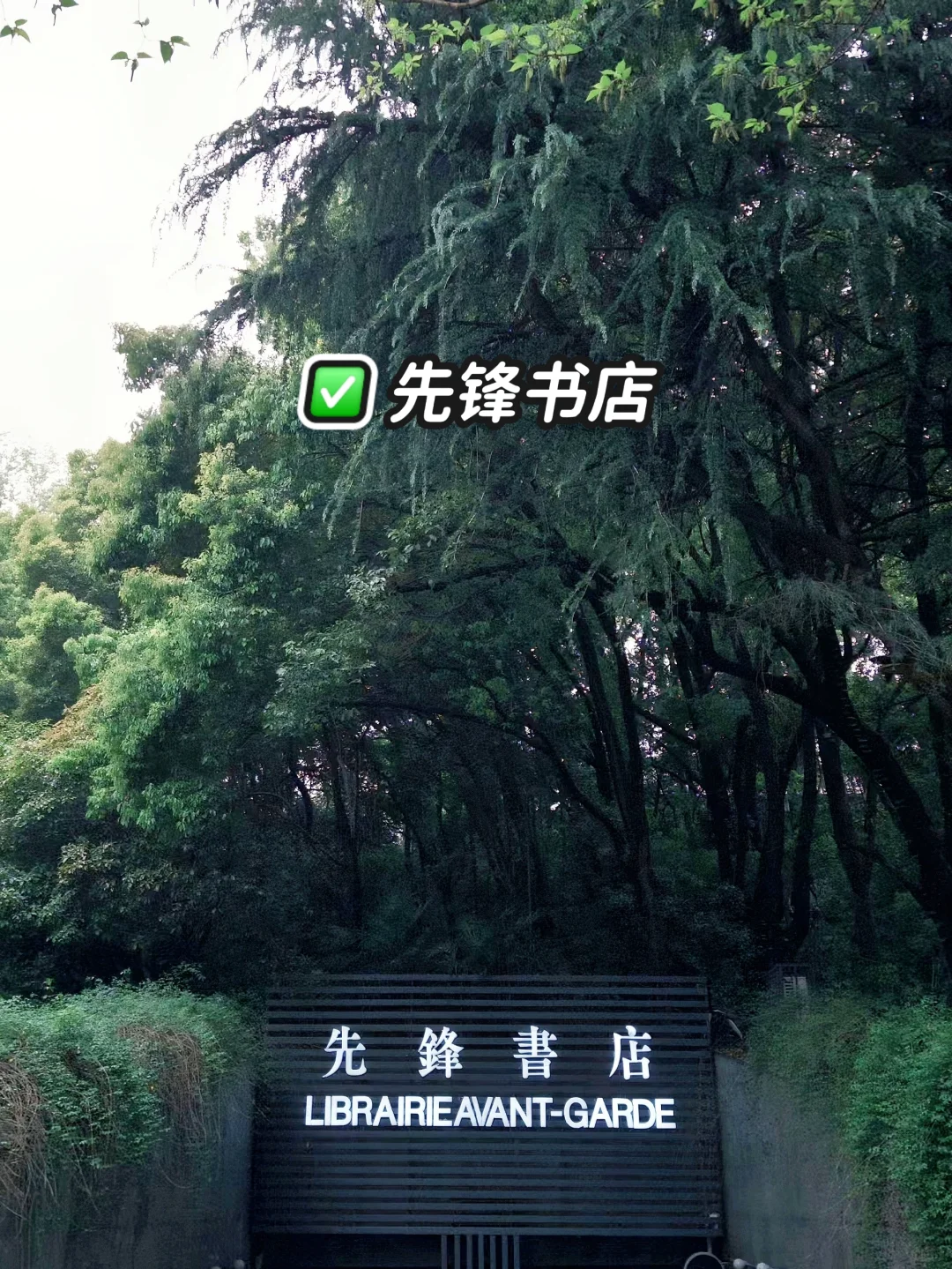 南京｜特种兵之2天一晚逛遍南京🔥