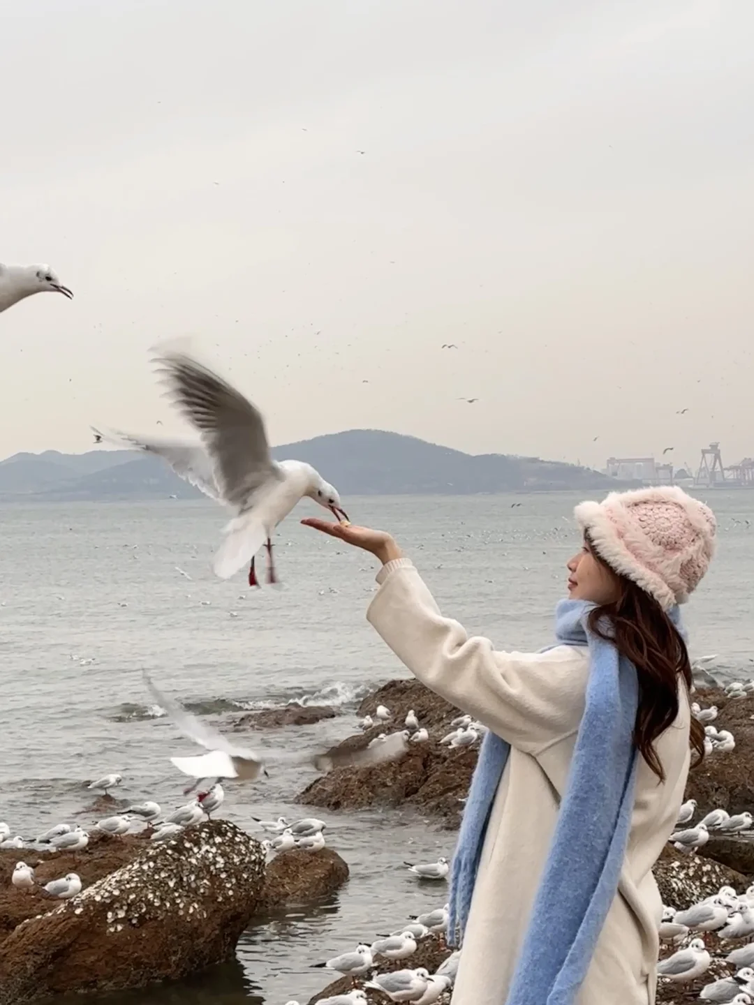 14w人看过的青岛➕威海五天四晚2k这篇就够了