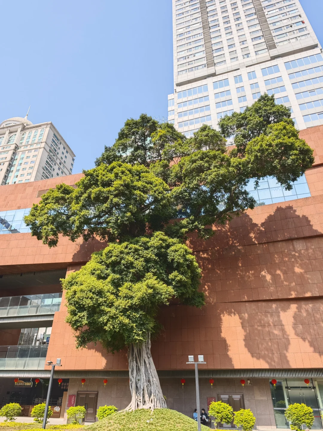 广州5天4晚自由行 | Day 2