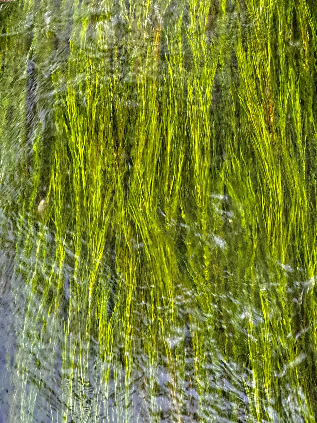 刚从丽江回来‼️对自己的攻略满意到睡不着🥰