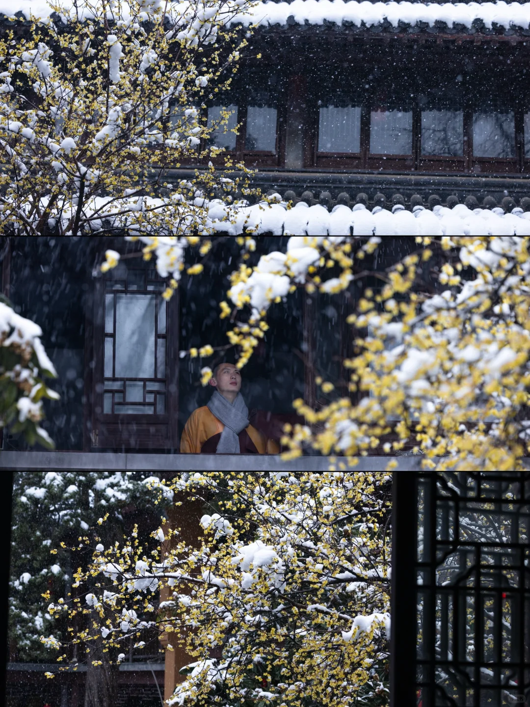 我夸南京一万遍，不及你来看一眼｜附攻略