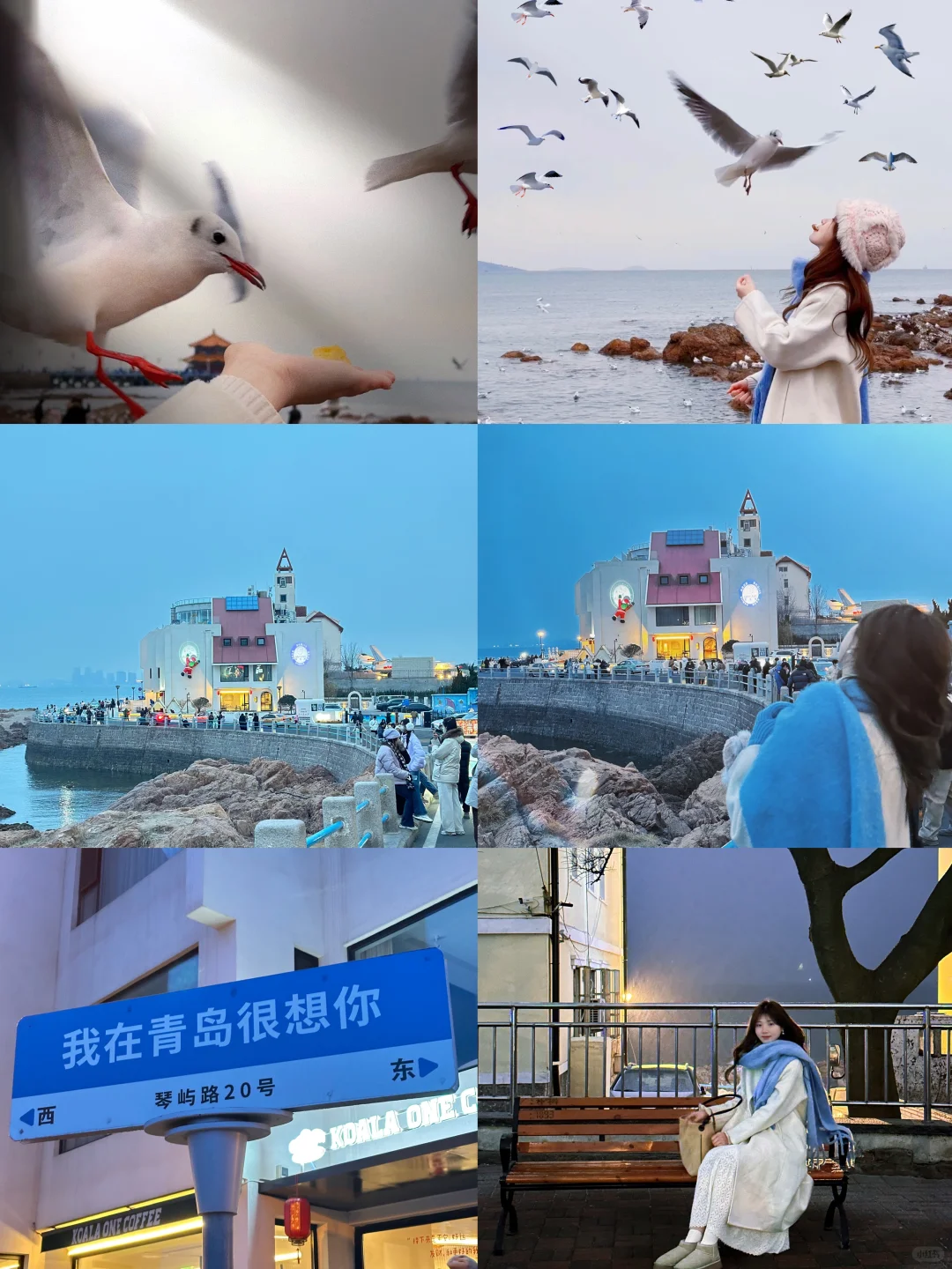 14w人看过的青岛➕威海五天四晚2k这篇就够了