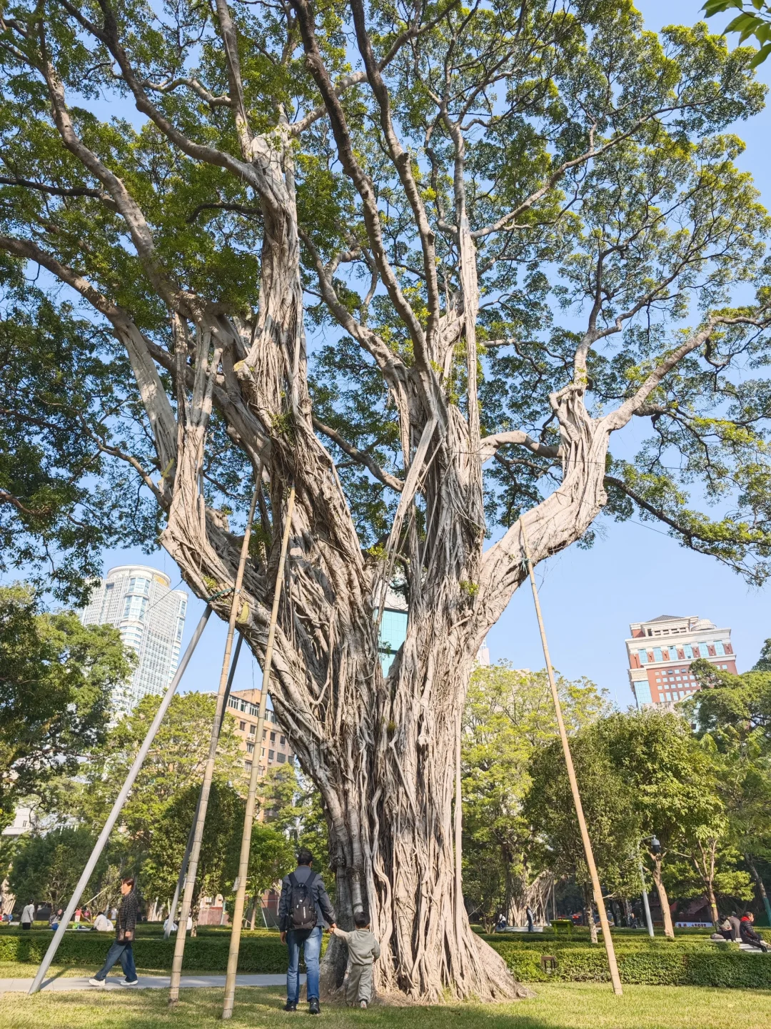 广州5天4晚自由行 | Day 2