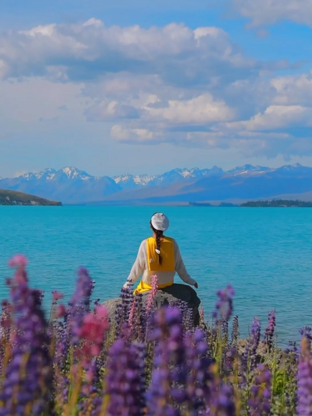 新西兰🌳🌈🦌去没有天花板的地方尽情吸氧🫠