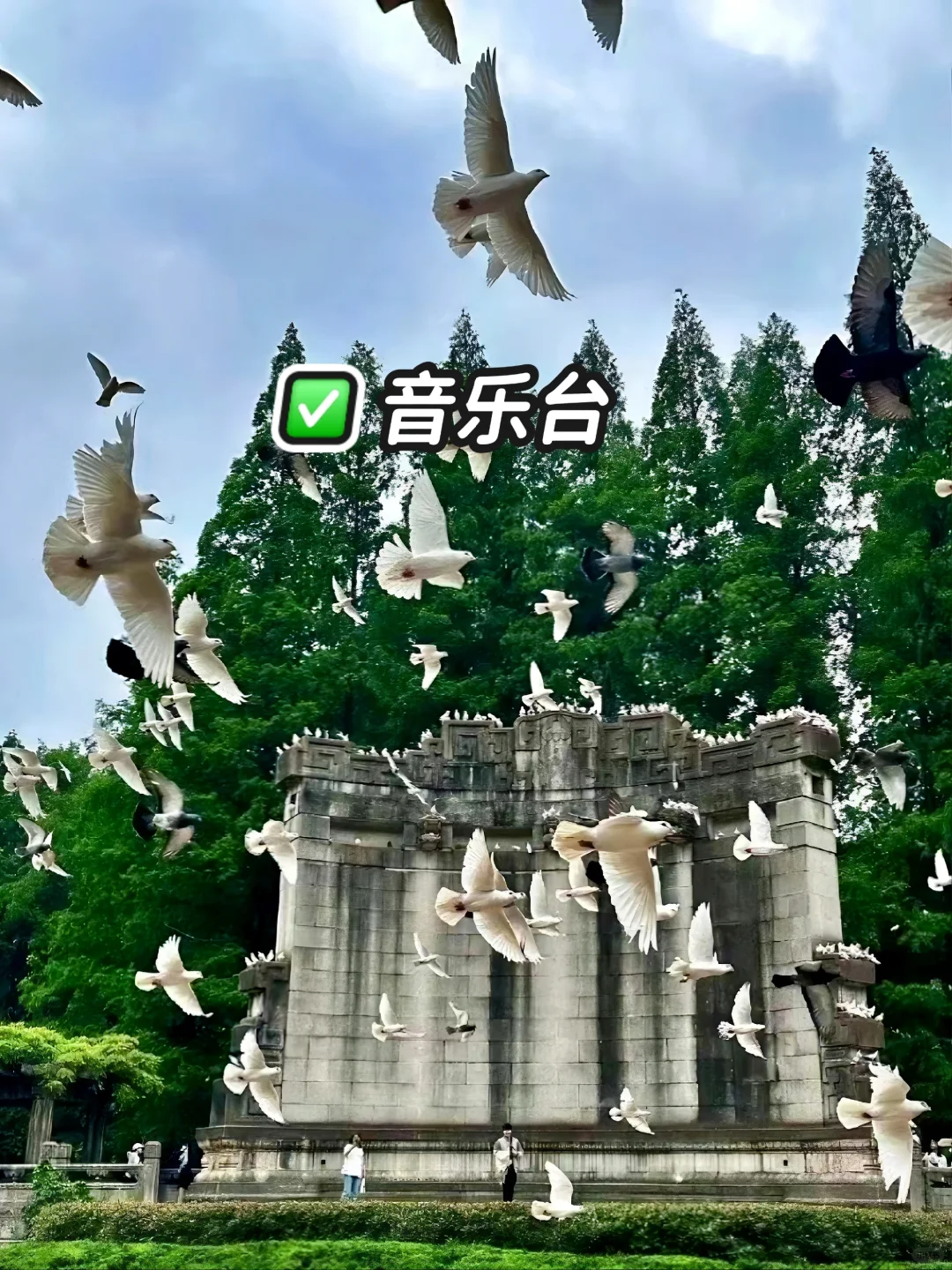 南京｜特种兵之2天一晚逛遍南京🔥