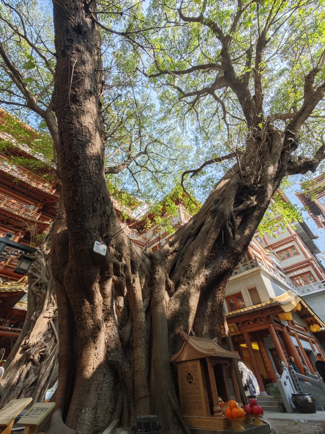 广州5天4晚自由行 | Day 2