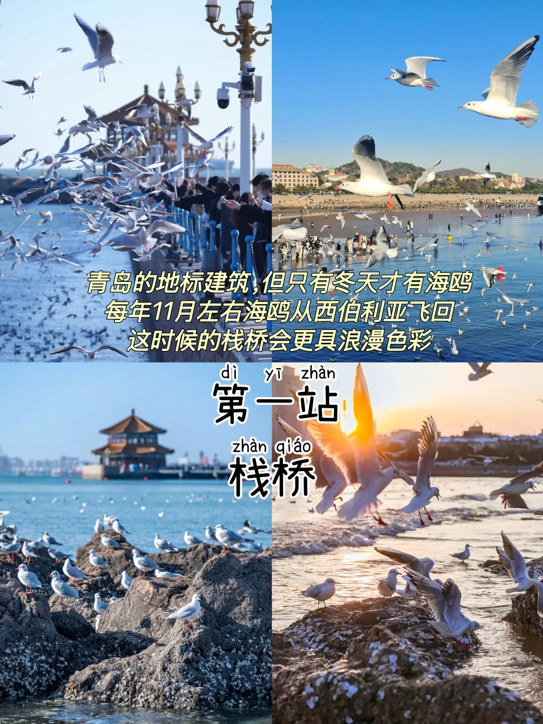 2024旅行结算｜青岛📍三天两夜，逛吃攻略‼️