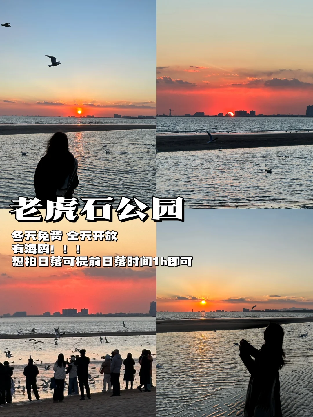 秦皇岛冬季海边看雪旅行攻略！