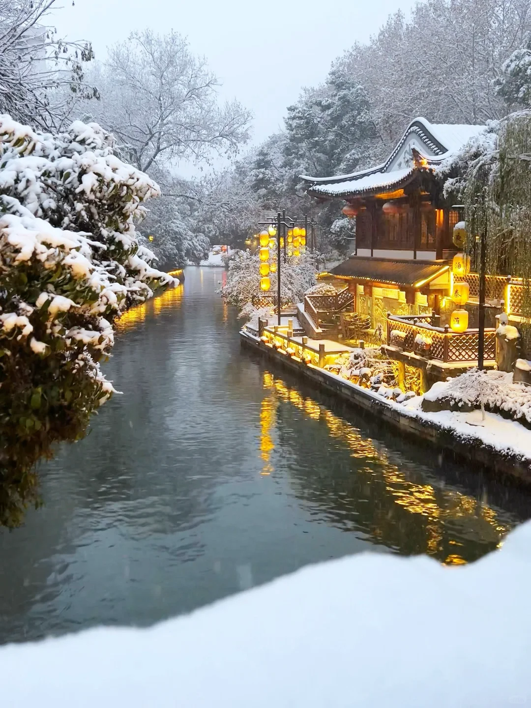 我夸南京一万遍，不及你来看一眼｜附攻略