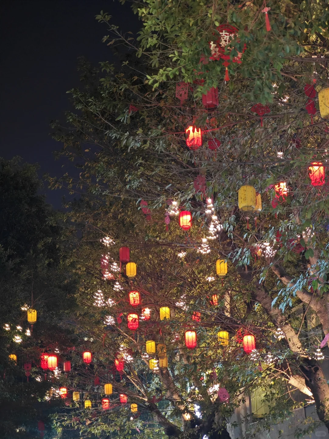 广州5天4晚自由行 | Day 2