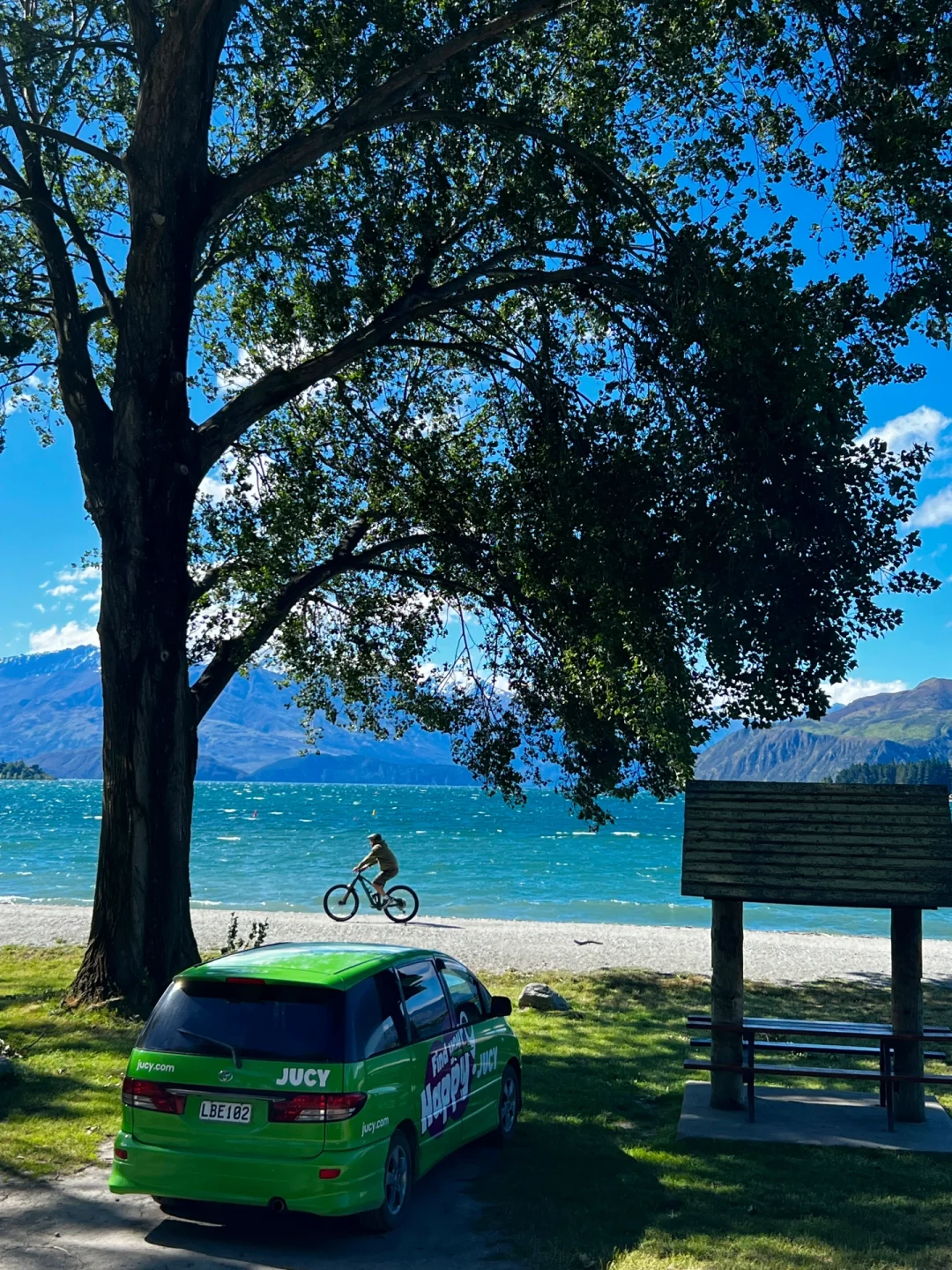 新西兰🌳🌈🦌去没有天花板的地方尽情吸氧🫠