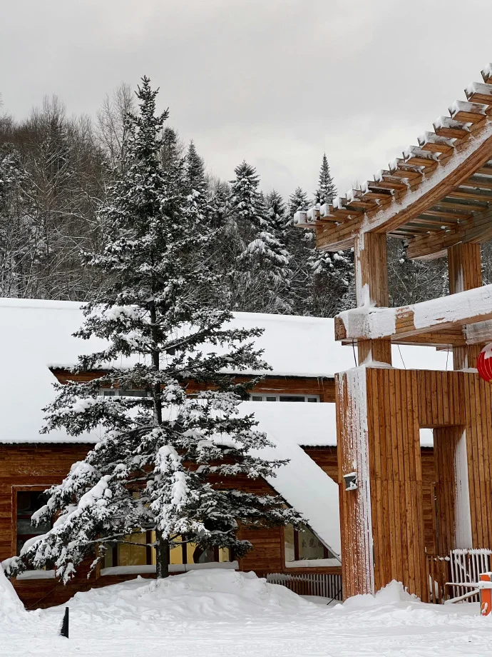 长白山&延吉已回，后劲太大了……4天3晚