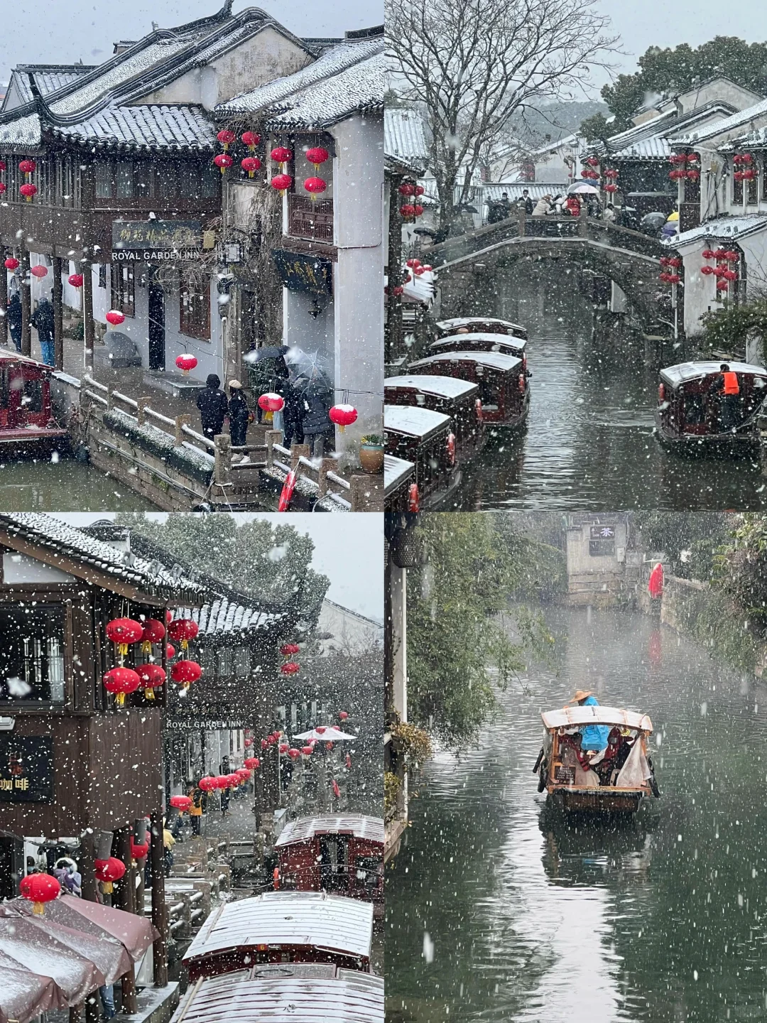 🌈苏州| 12-2月冬天来苏州真的很香！