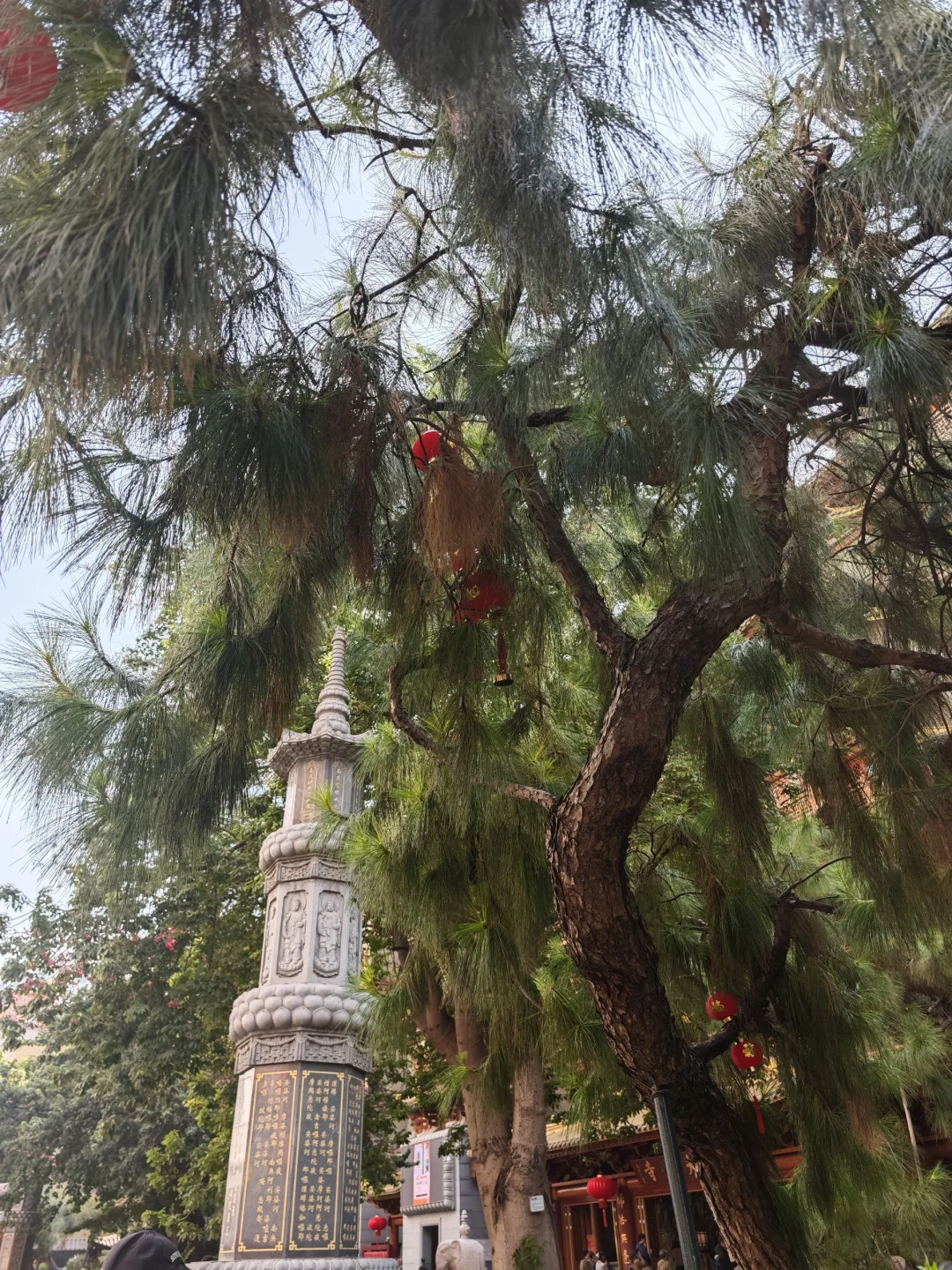 广州5天4晚自由行 | Day 2