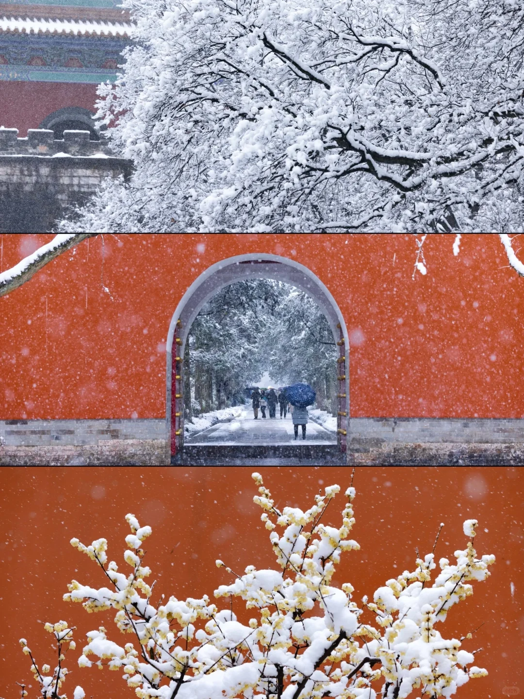 我夸南京一万遍，不及你来看一眼｜附攻略