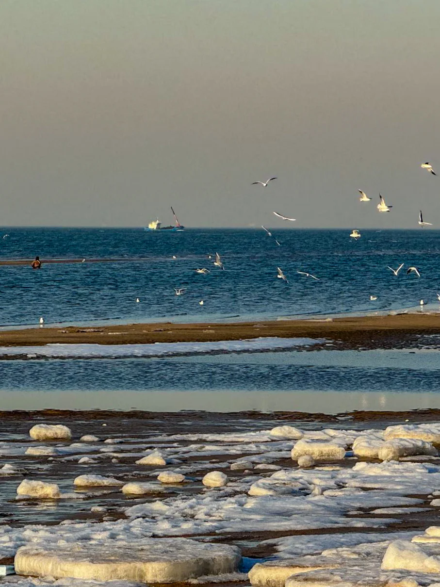 秦皇岛冬季海边看雪旅行攻略！