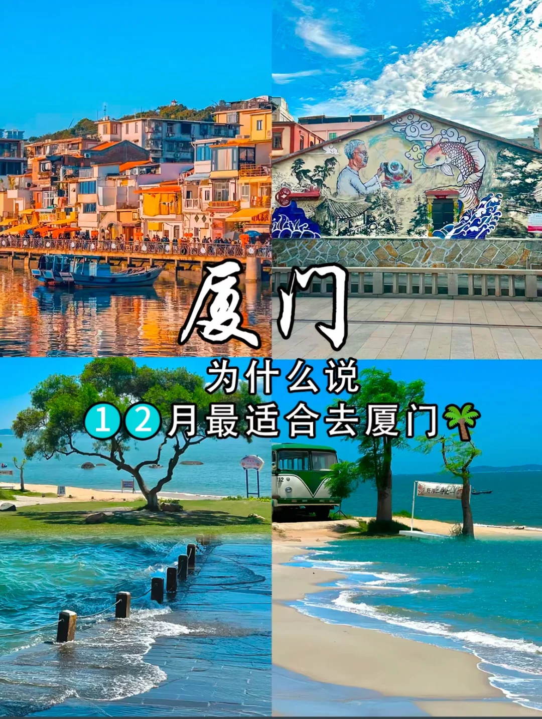 为什么说12月份最适合去厦门❓