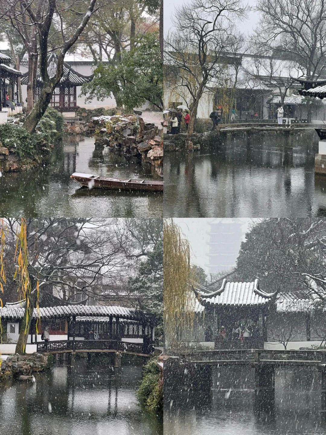 🌈苏州| 12-2月冬天来苏州真的很香！