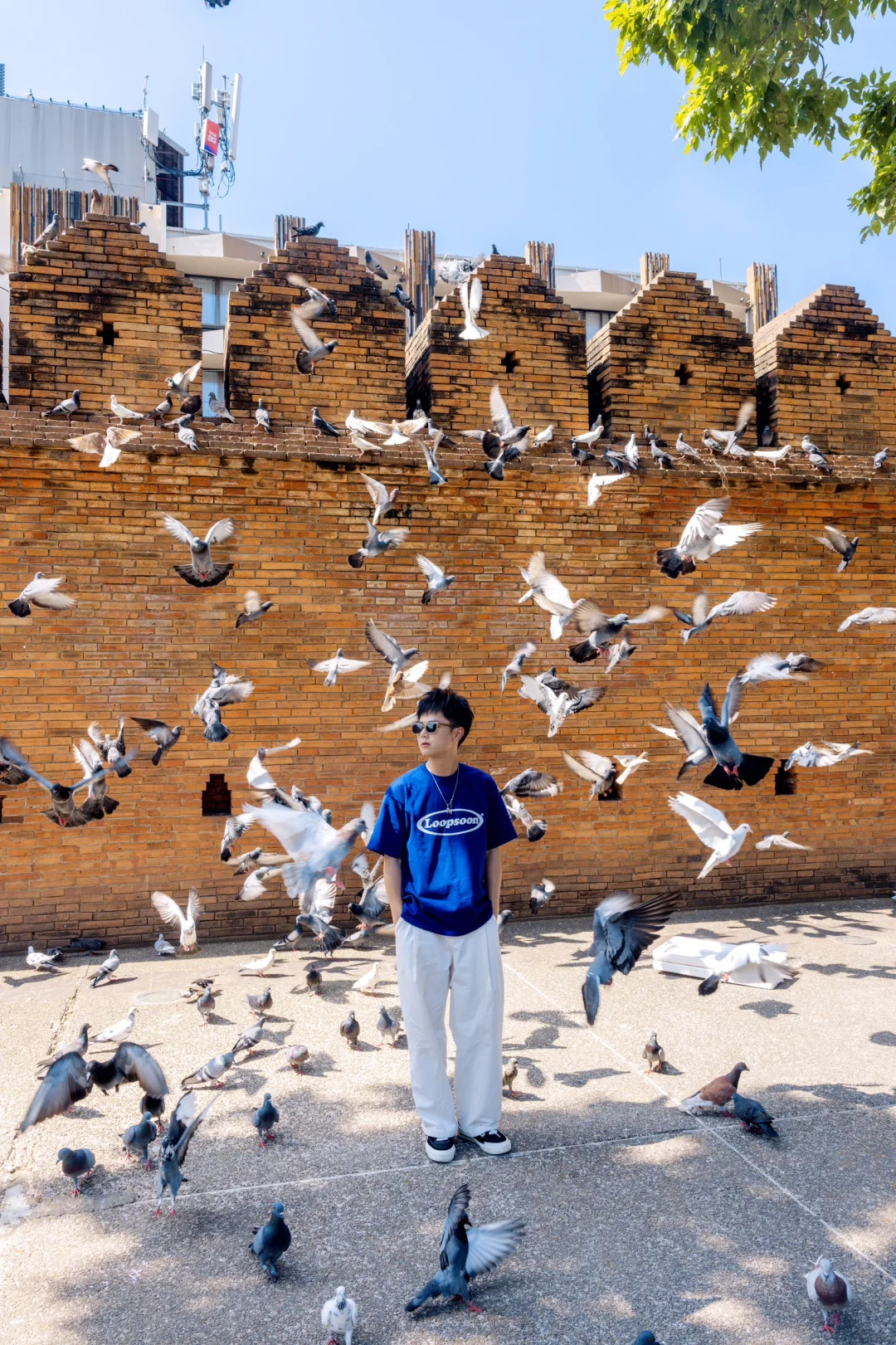 清迈刚回，对自己的旅游攻略满意到睡不着🤣