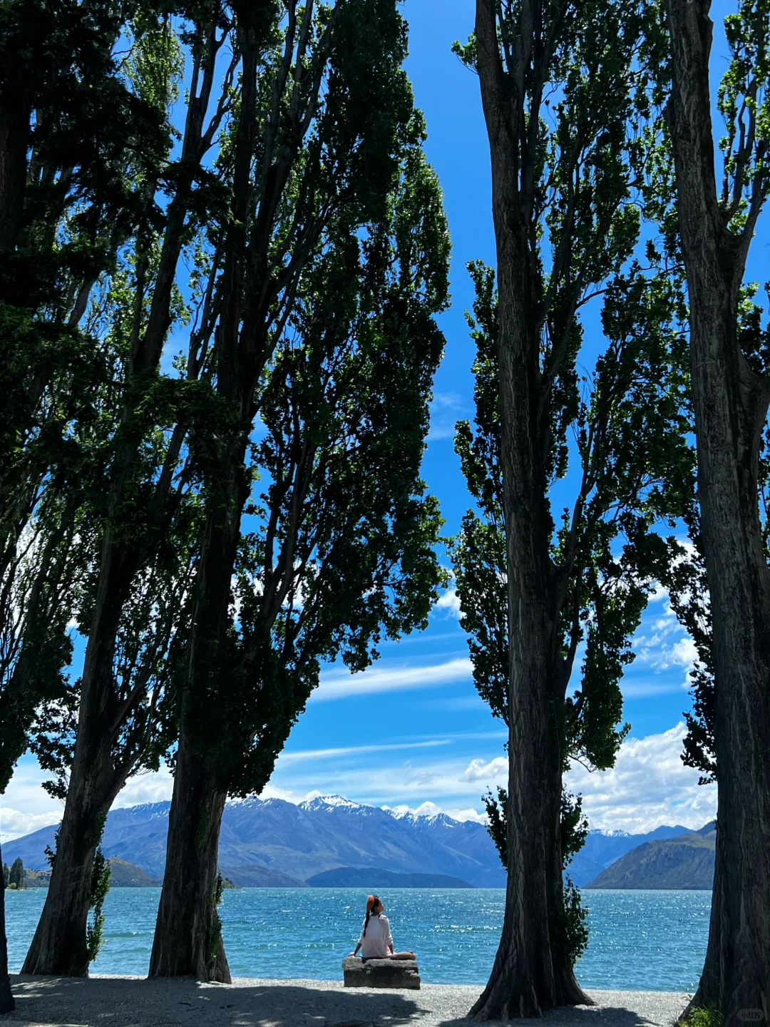 新西兰🌳🌈🦌去没有天花板的地方尽情吸氧🫠