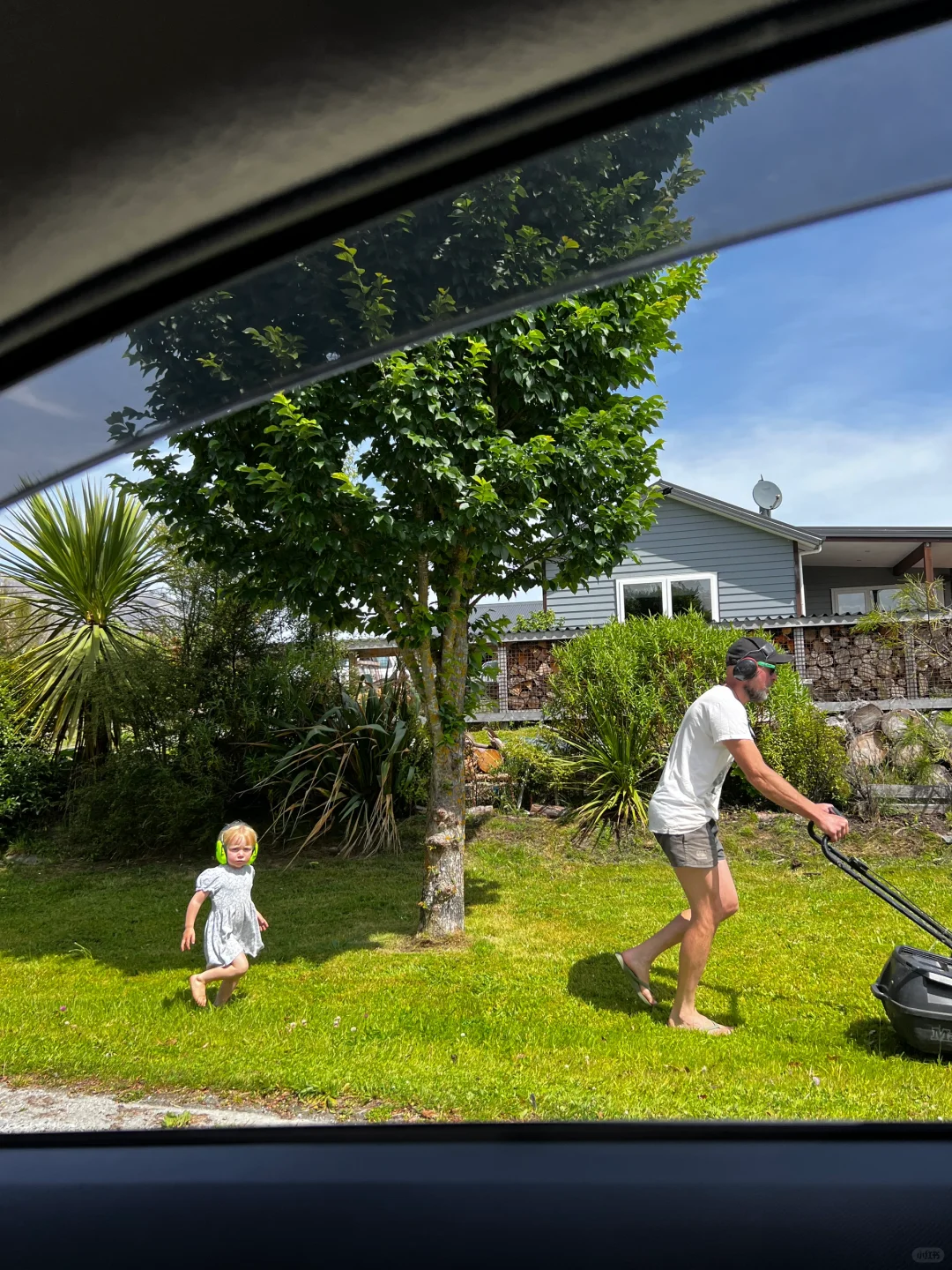 新西兰🌳🌈🦌去没有天花板的地方尽情吸氧🫠