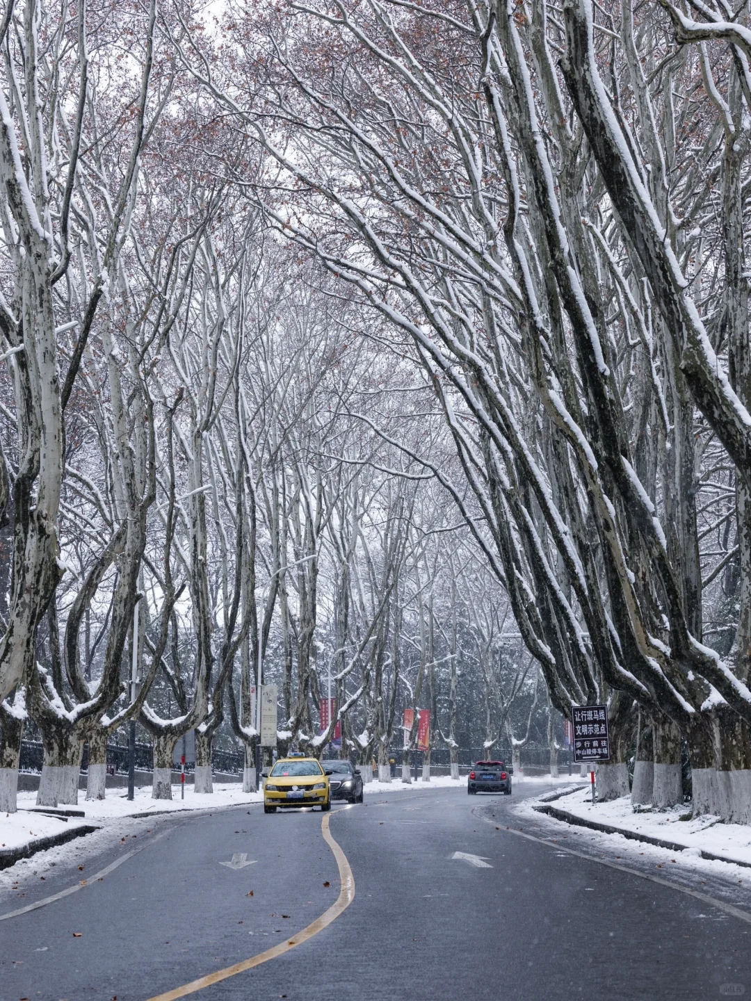我夸南京一万遍，不及你来看一眼｜附攻略
