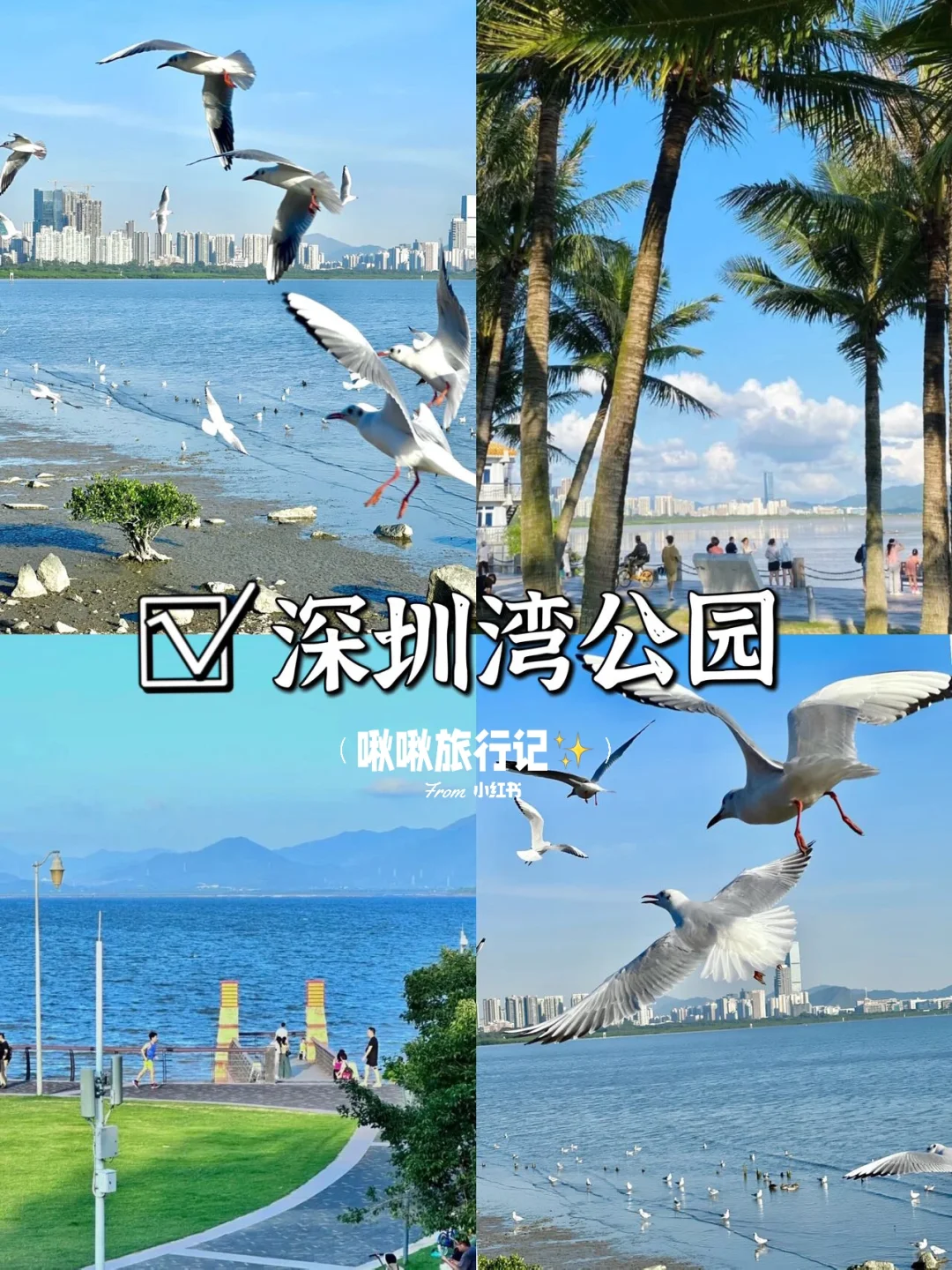 深圳周末好去处‼️六大超好逛的景点指南🤩