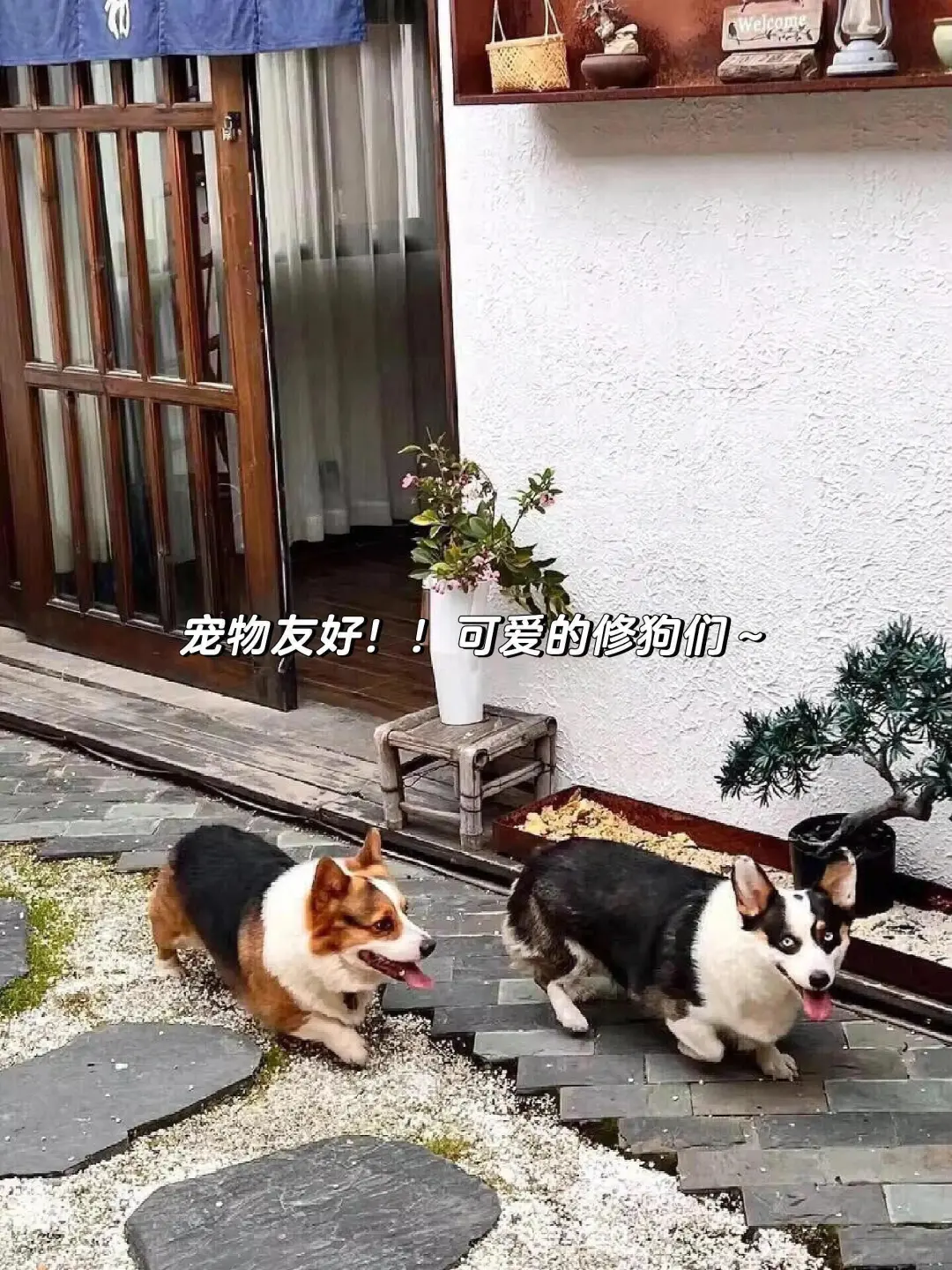 南京！！新街口！！128俩人😭😭不想退房