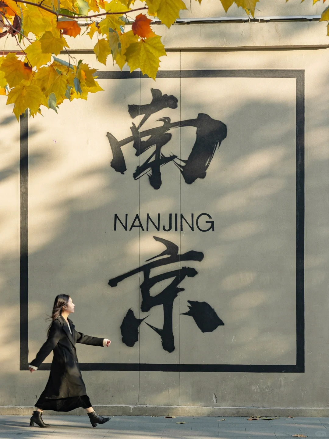 我夸南京一万遍，不及你来看一眼｜附攻略