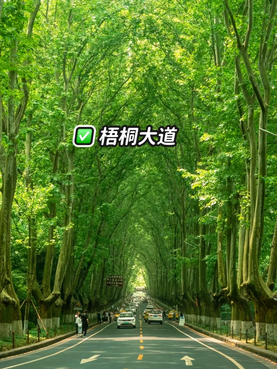 南京｜特种兵之2天一晚逛遍南京🔥