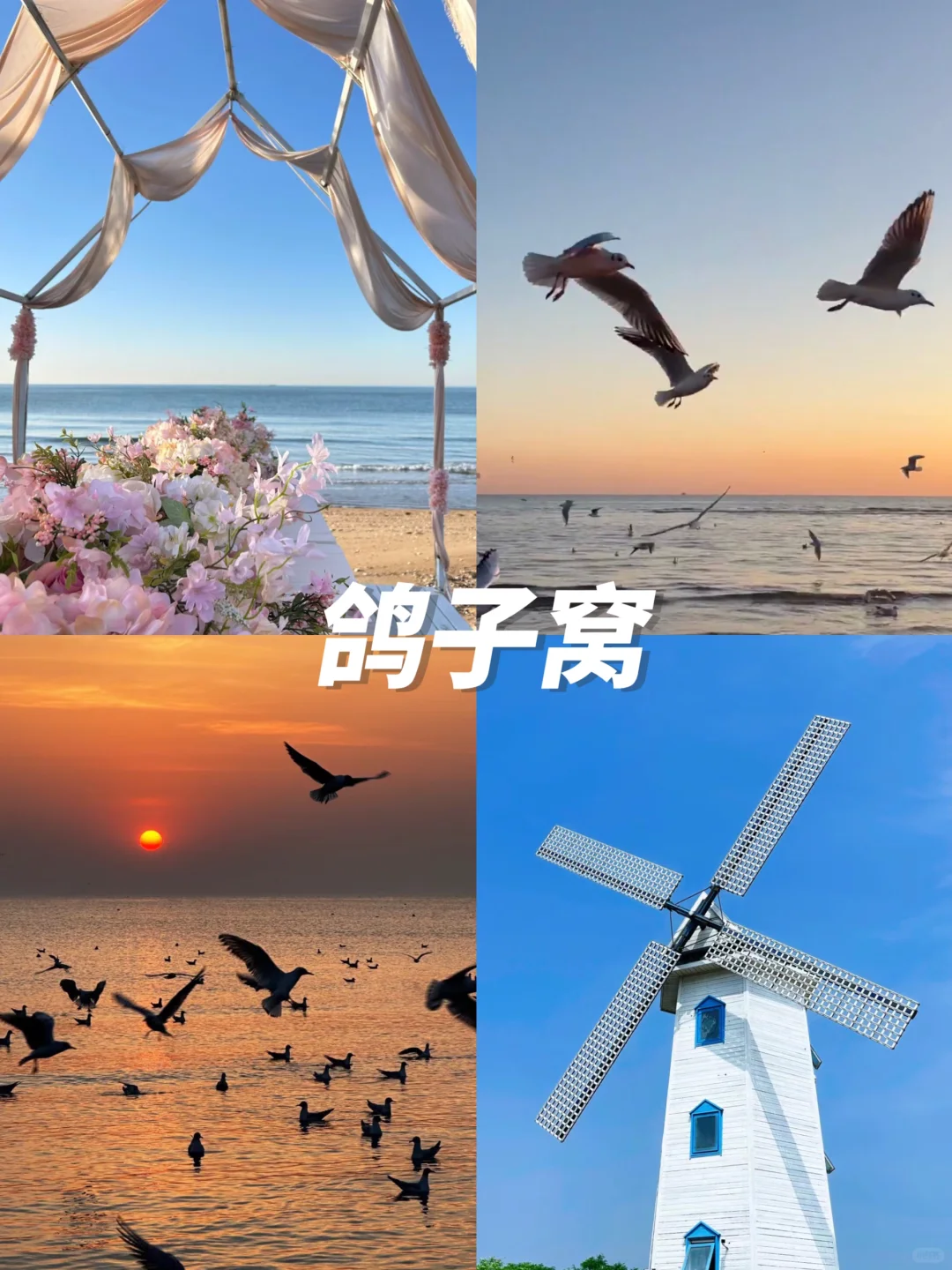 12月去秦皇岛的进👏有山有海不踩雷攻略‼️