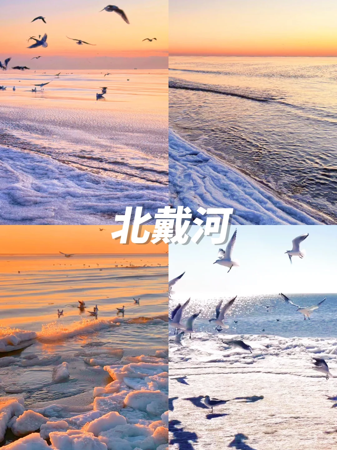 12月去秦皇岛的进👏有山有海不踩雷攻略‼️