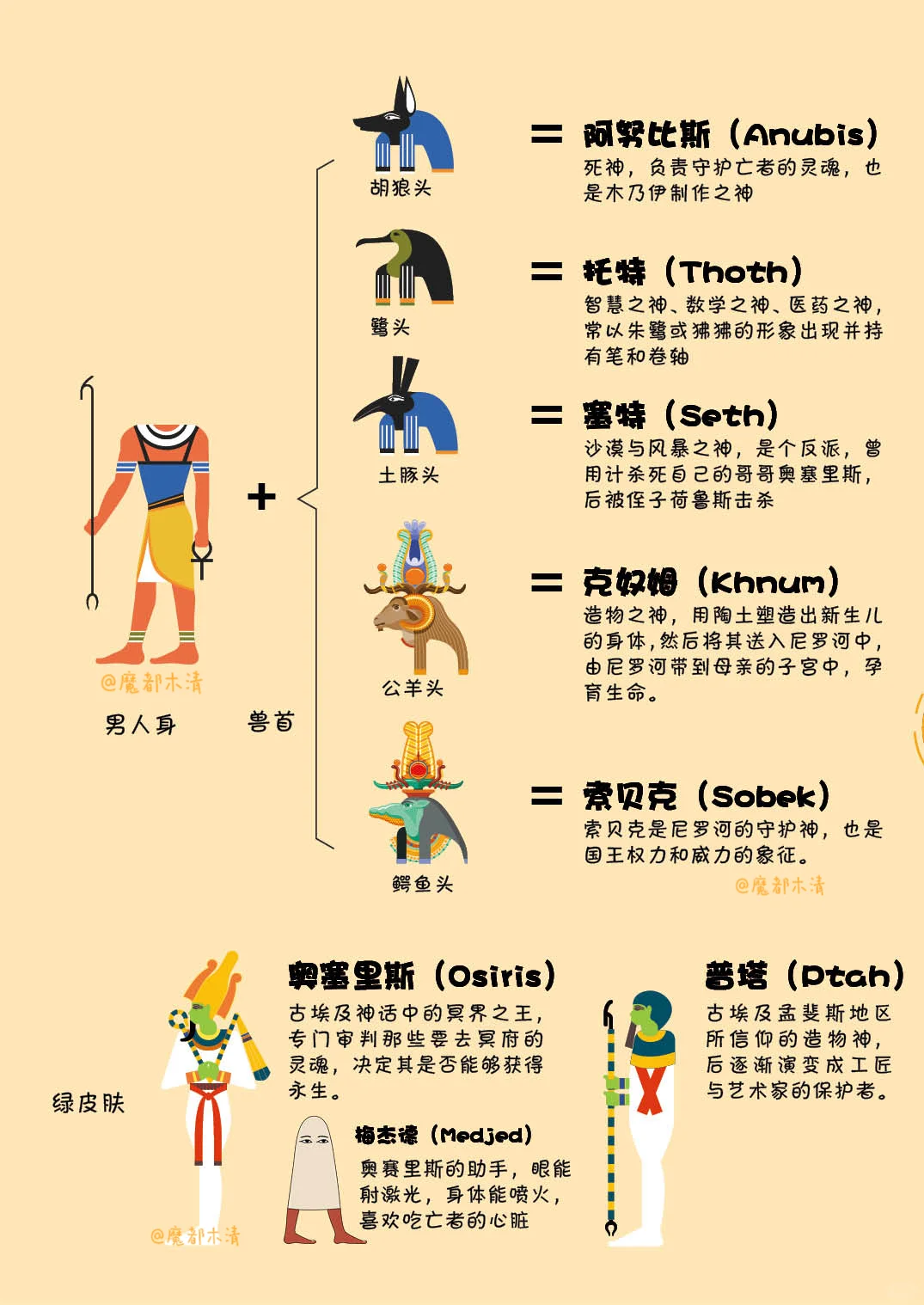 埃及展参观手册，墙裂推荐！