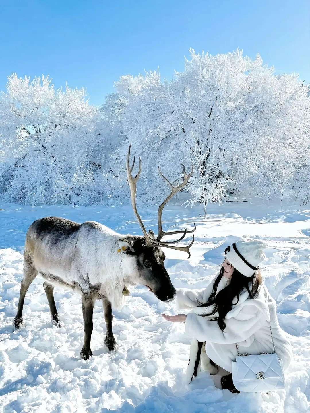 长白山&延吉已回，后劲太大了……4天3晚