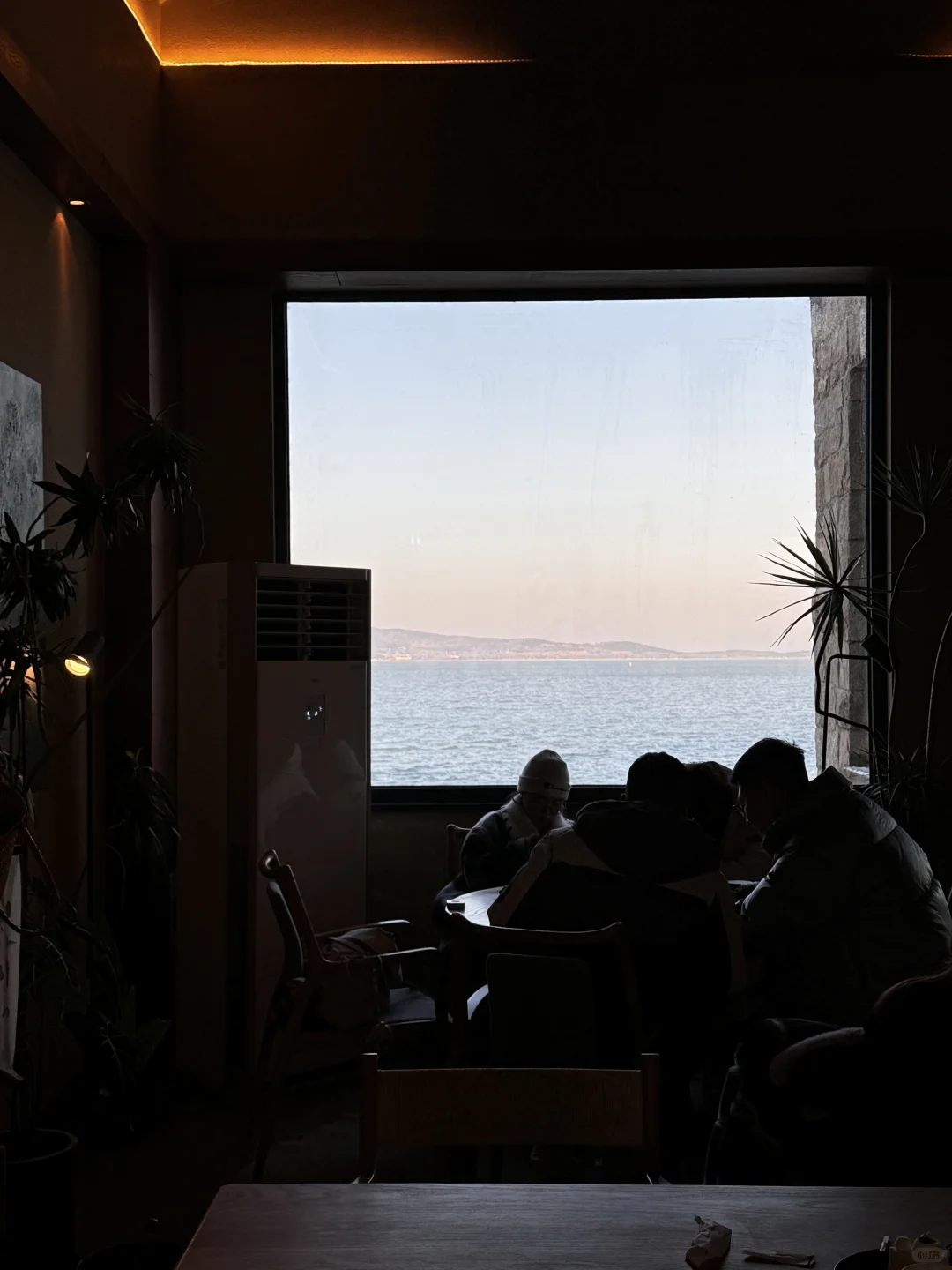 14w人看过的青岛➕威海五天四晚2k这篇就够了