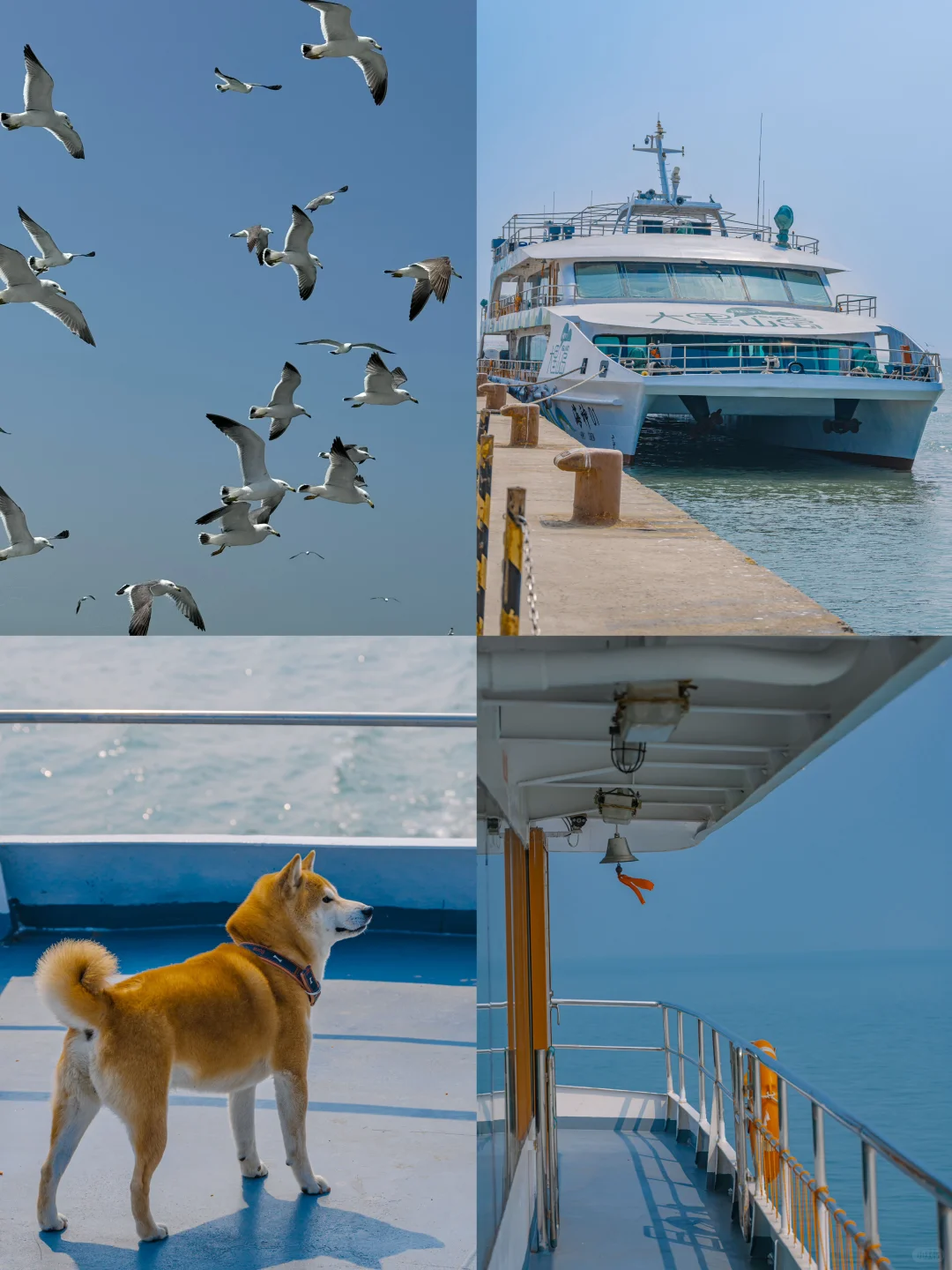 朋友圈以为我出国了❗其实是山东❗