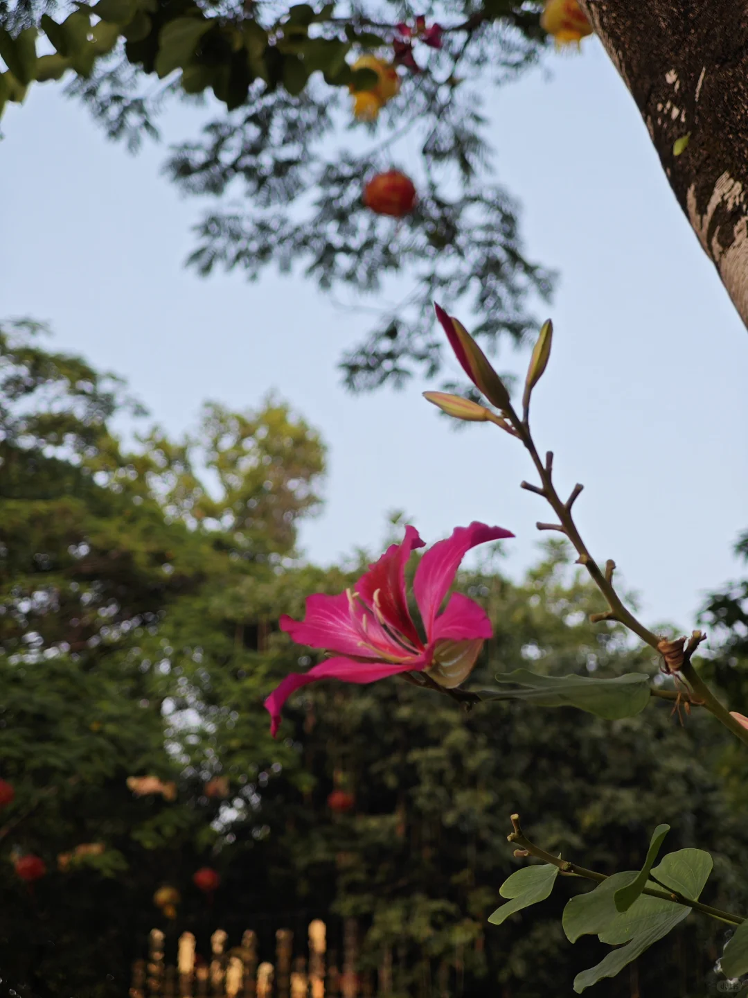 广州5天4晚自由行 | Day 2