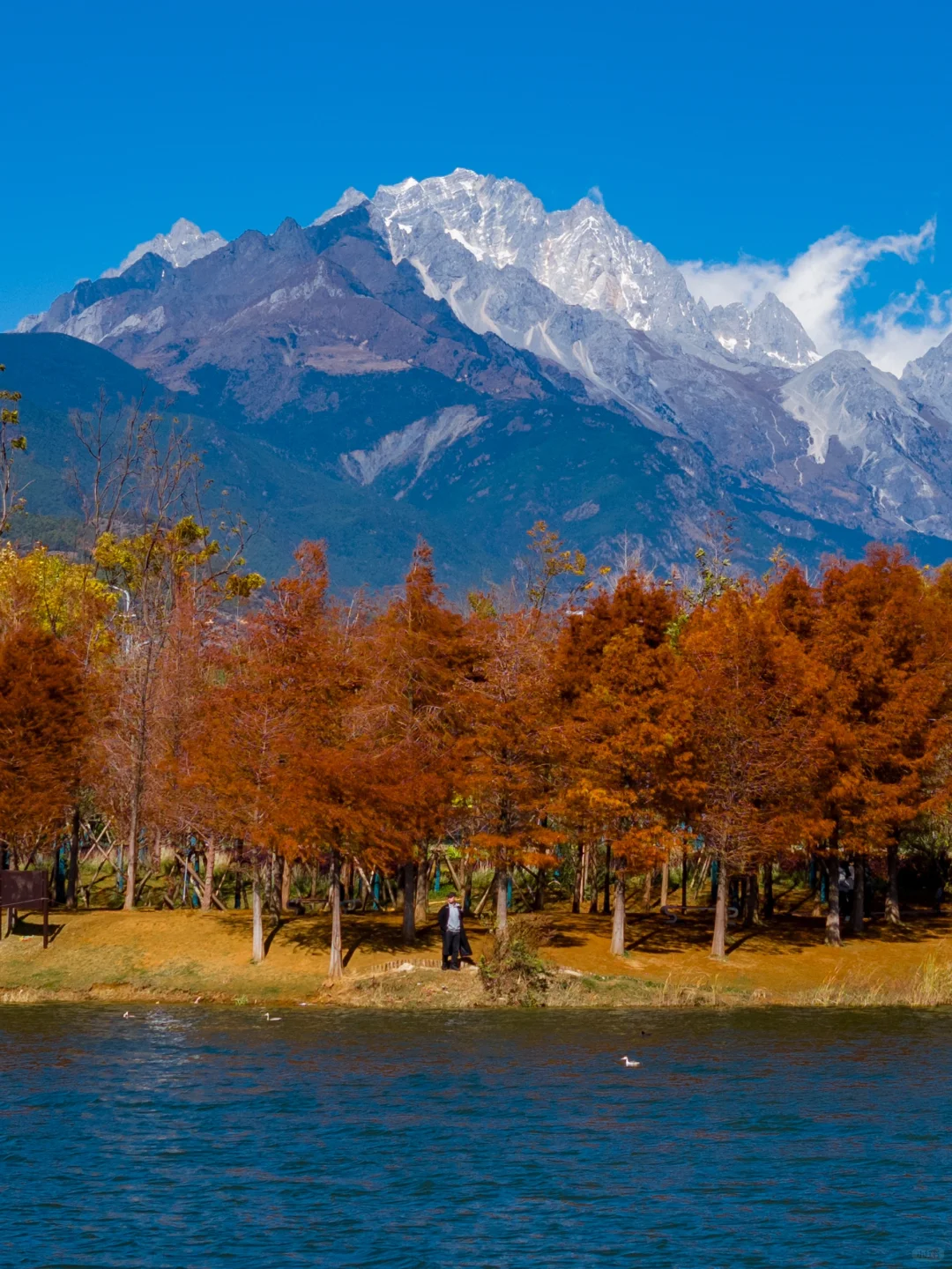 刚从丽江回来‼️对自己的攻略满意到睡不着🥰