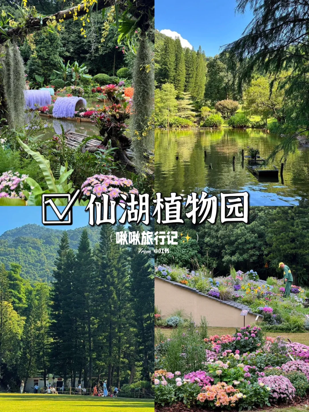 深圳周末好去处‼️六大超好逛的景点指南🤩