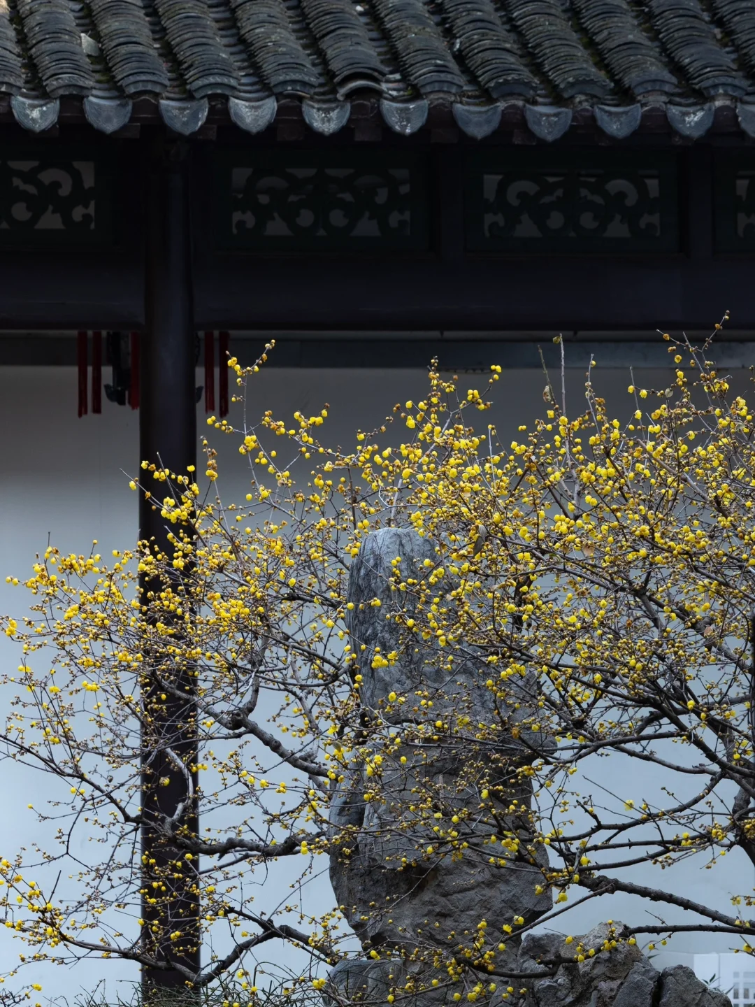 我夸南京一万遍，不及你来看一眼｜附攻略