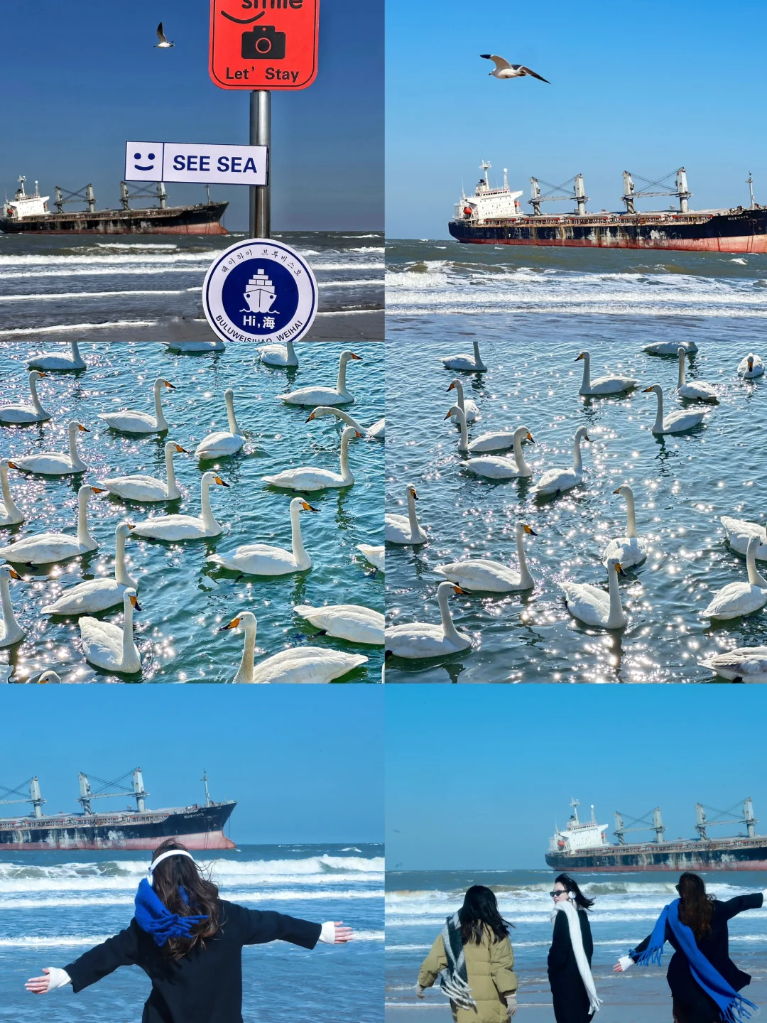 14w人看过的青岛➕威海五天四晚2k这篇就够了