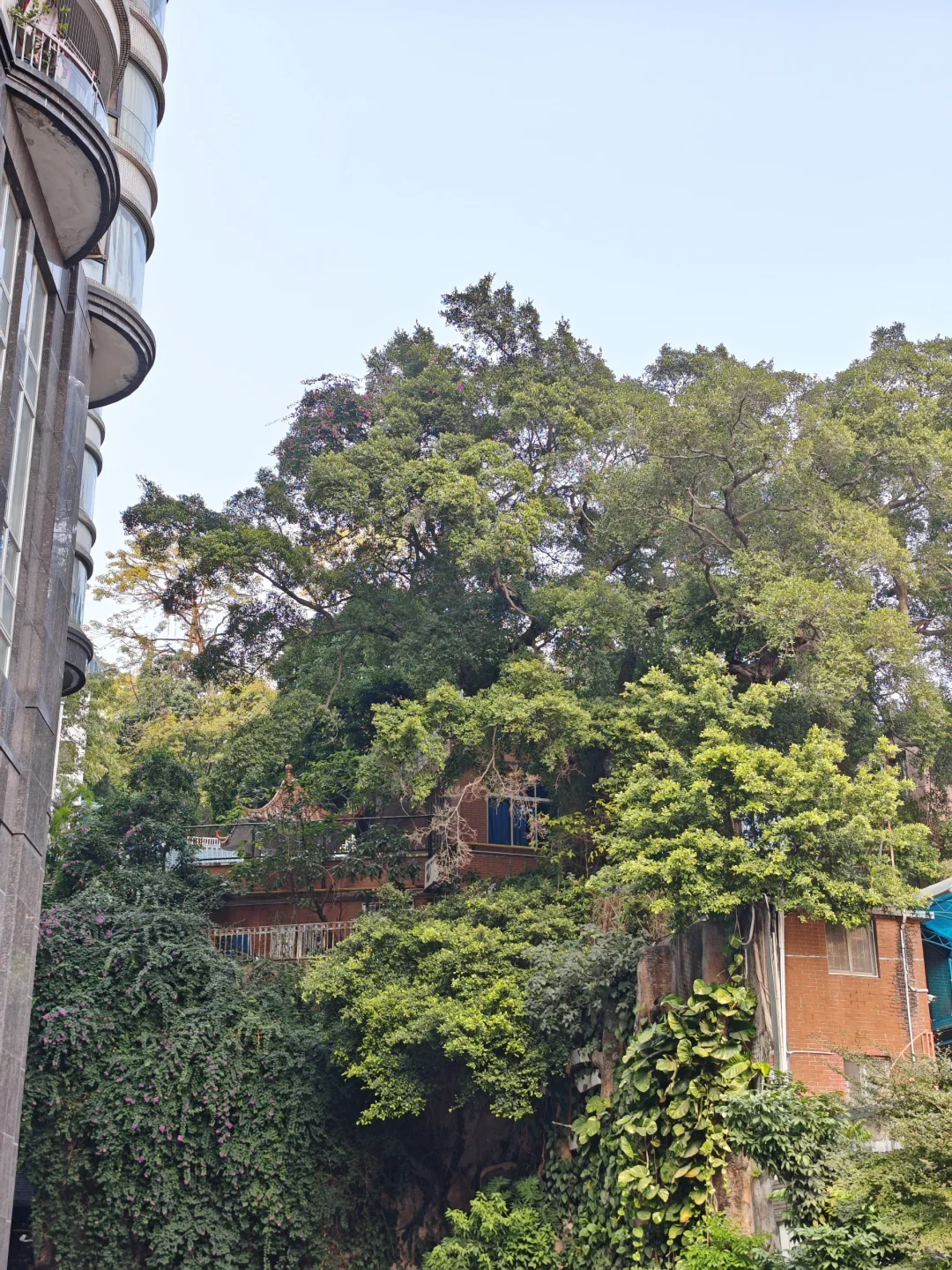 广州5天4晚自由行 | Day 2