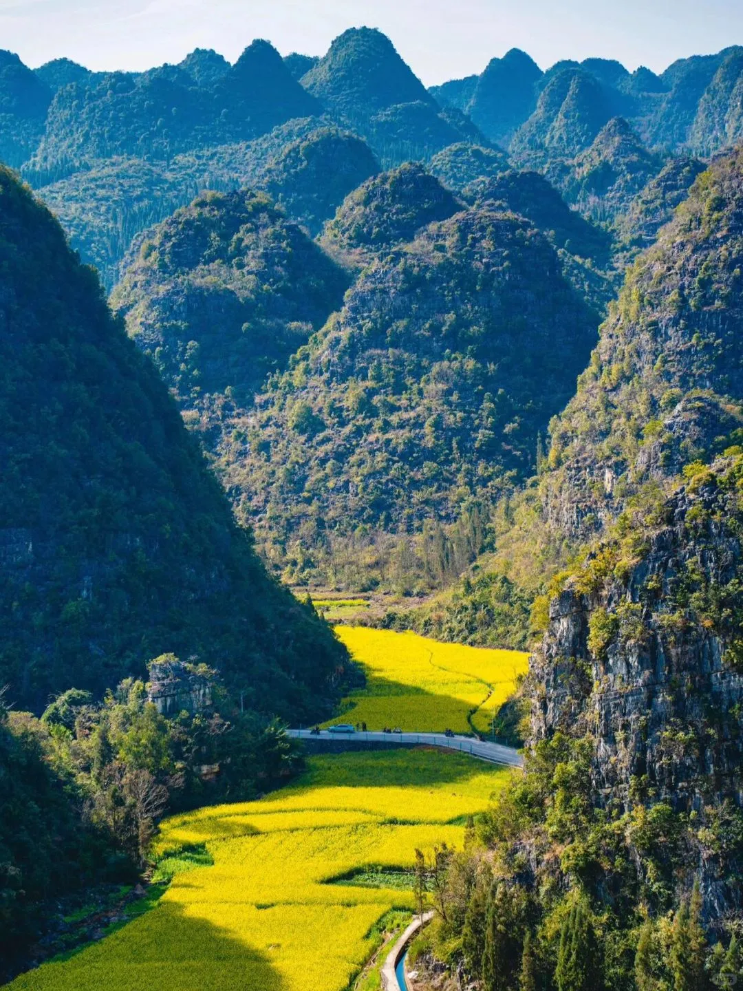 1月春节和家人,去贵州万峰林看油菜花🌼