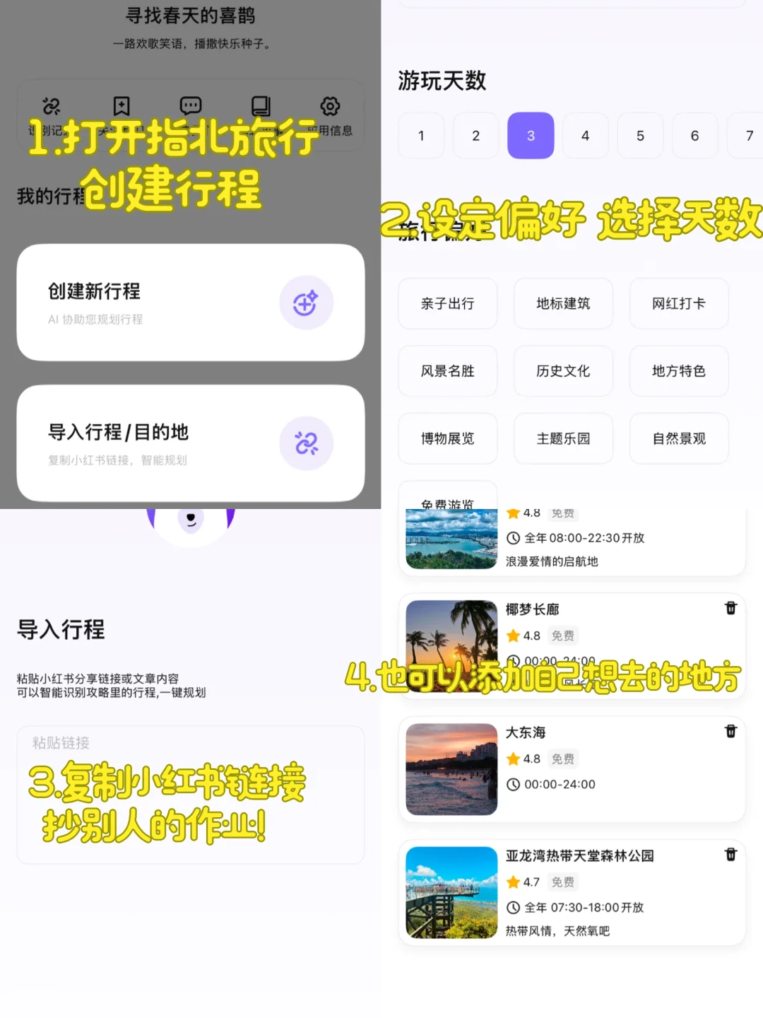 冬天的万宁太chill了🌴P人旅游攻略版 冲！