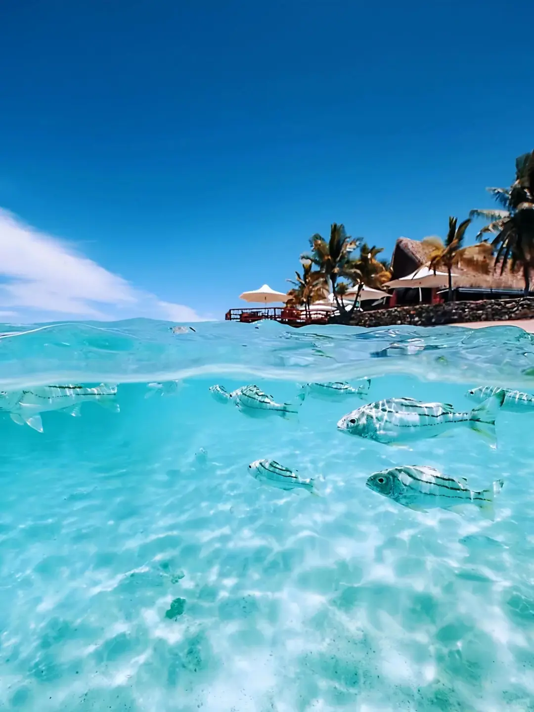 果断放弃马代😅斐济8天6晚…实在是太香了