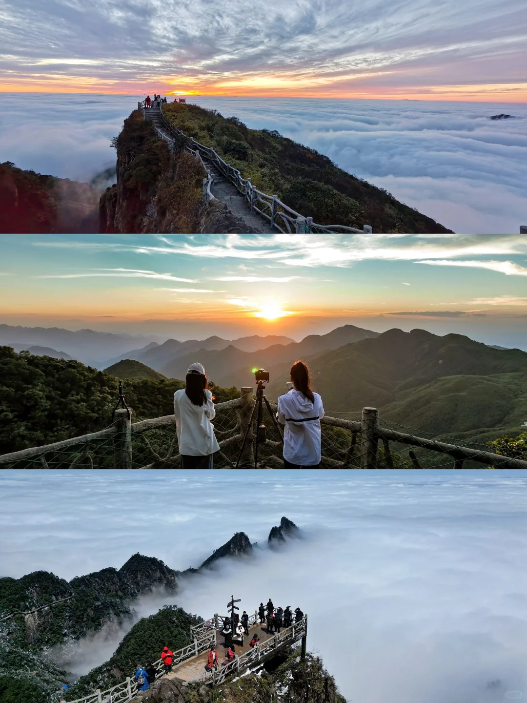 广东人狂喜🥹出发3h到达🚄看雾凇云海美哭…